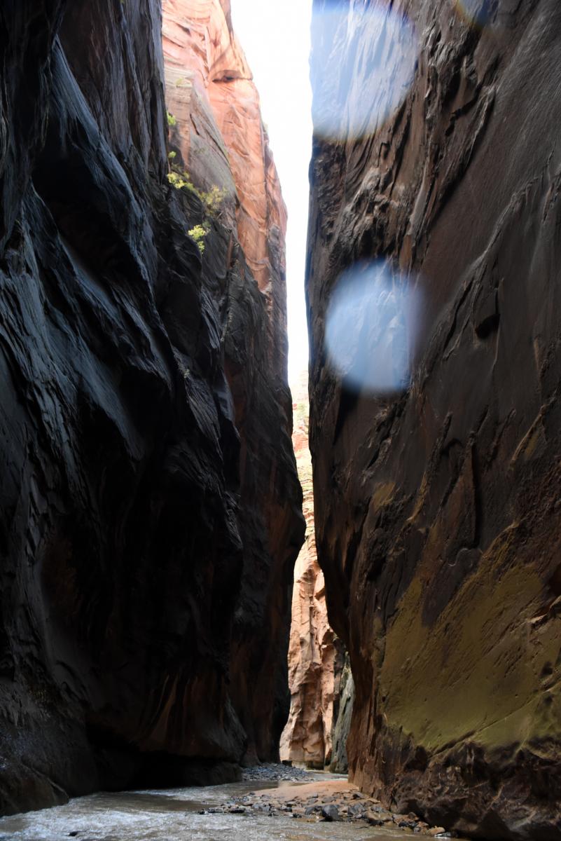 Zion National Park