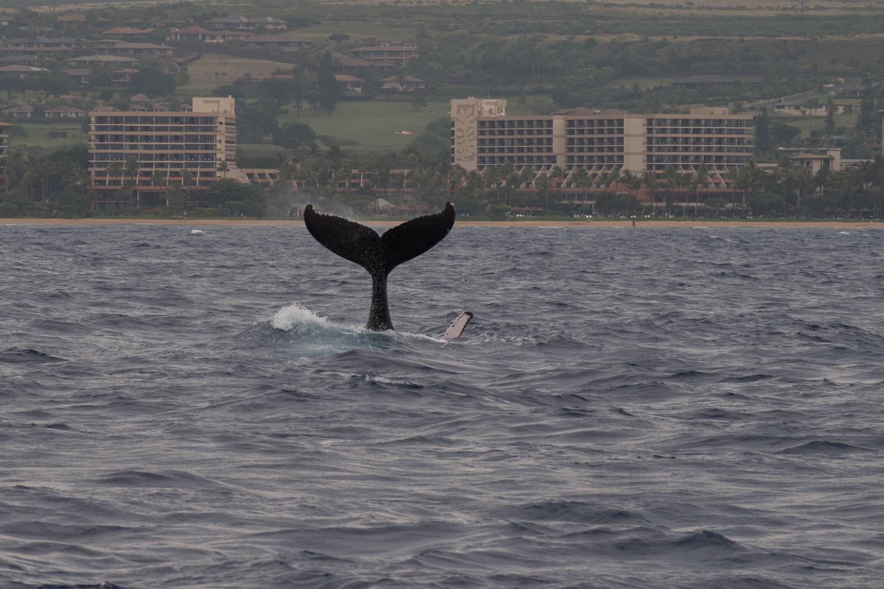 Maui, Hawaii