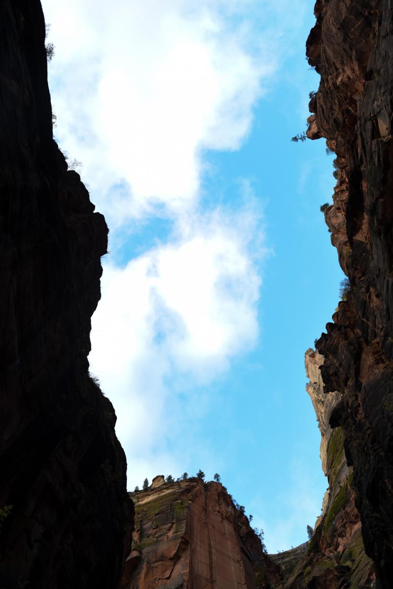 Zion National Park