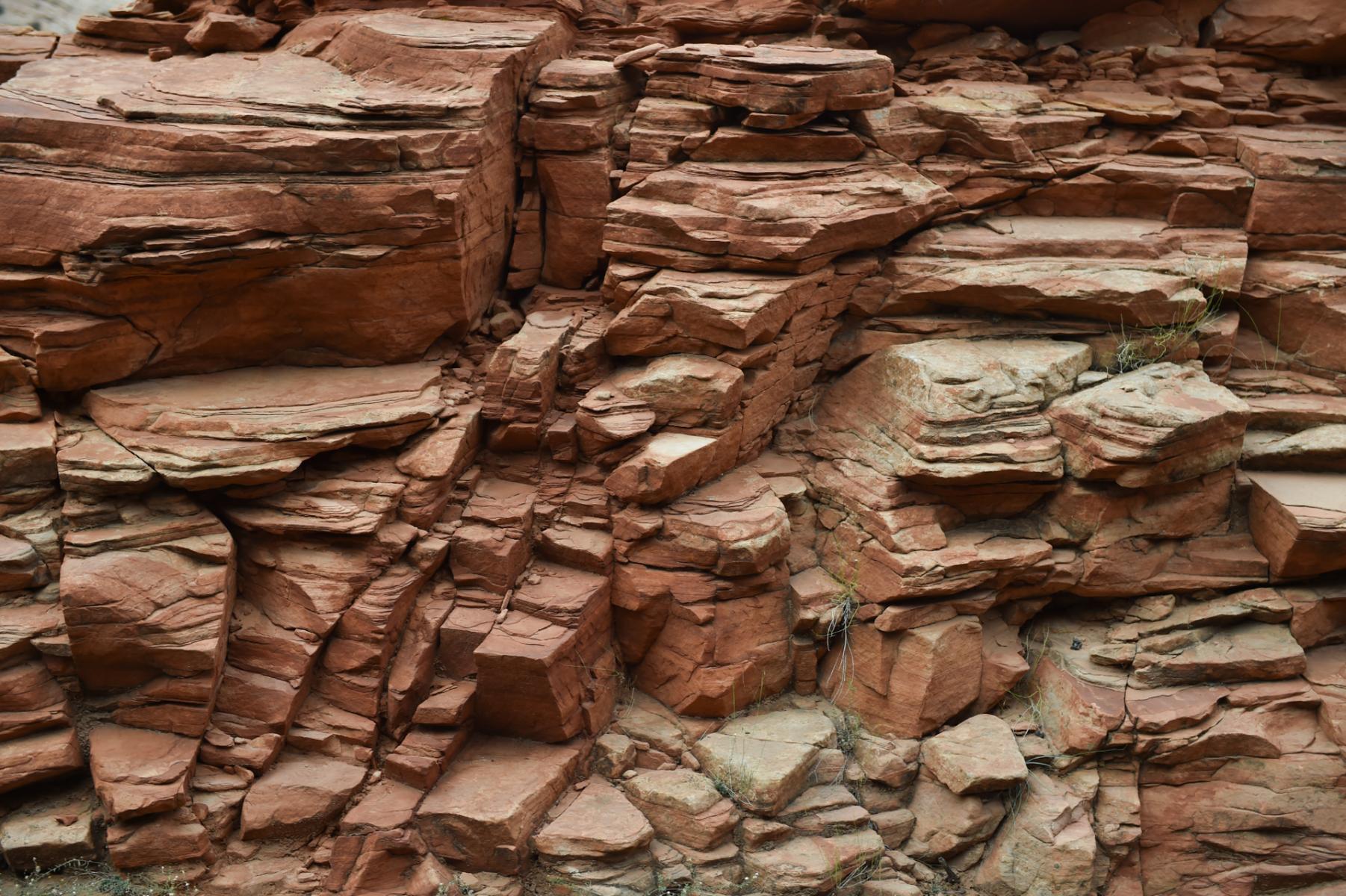 Zion National Park