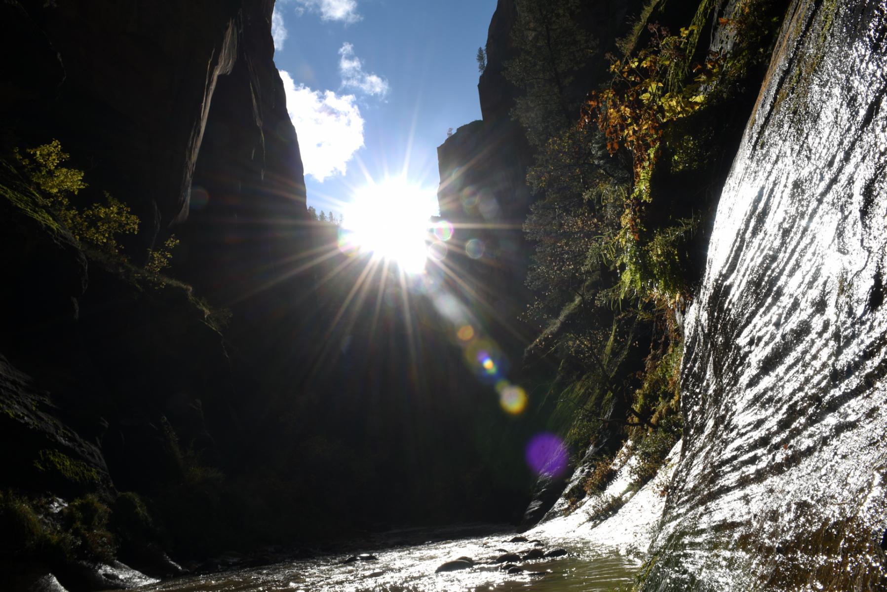 Zion National Park