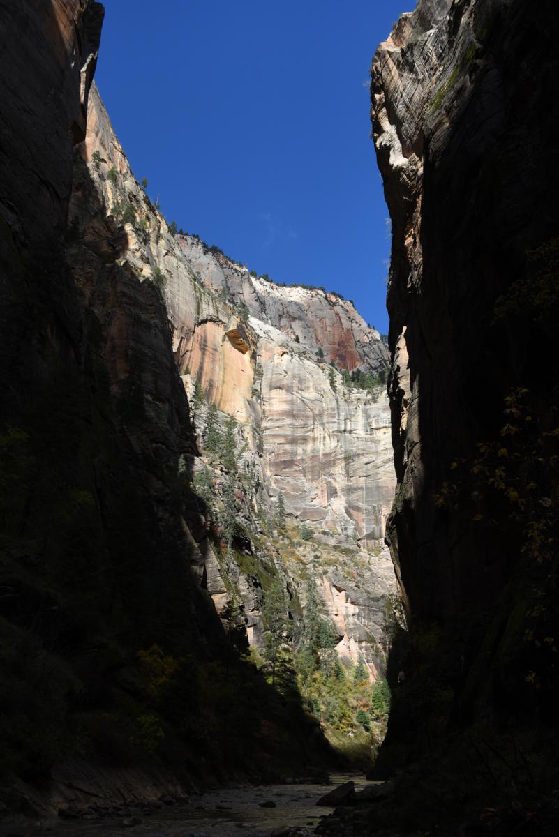 Zion National Park